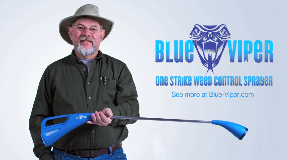 Kickstarter Video: Blue Viper